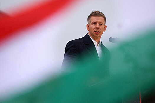 Лавров прокомментировал нежелание Мадьяра звонить Путину