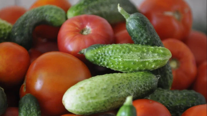 Агроном назвал ошибки новичков при выращивании рассады