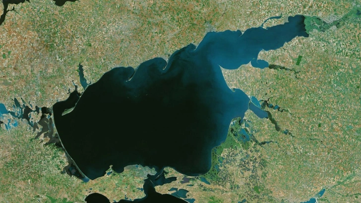 Азовское море превратили в рассол. Кто в нем теперь плавает?