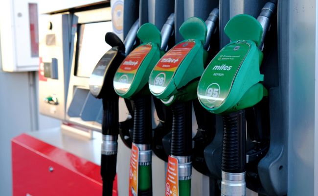 Эстония отказала бизнесу: борьбу Германии с энергокризисом назвали решетом