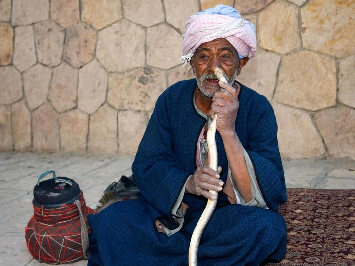 Смертельный номер: в Хургаде «дрессированная» змея заползла туристу в штаны и укусила