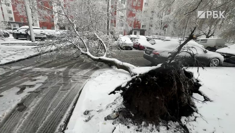 В Московском регионе выпало более 100% месячной нормы осадков