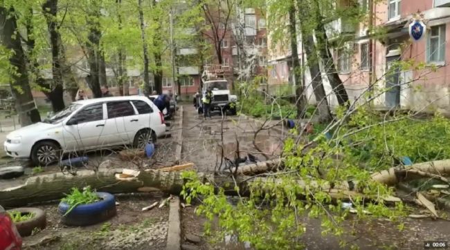 В Самарской области из-за сильного ветра погибли три человека