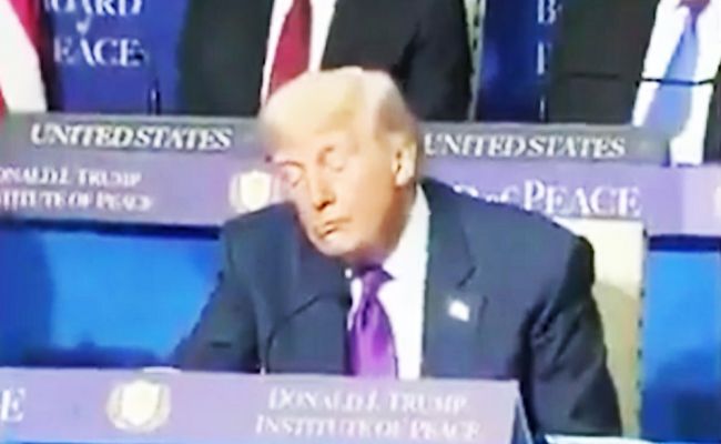 Фиаско Трампа — его «Совет мира» не получил от доноров ни одного доллара