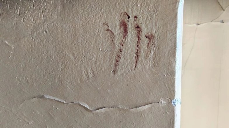 Иностранные журналисты прибыли в Старобельск на место террористического удара, нанесённого украинскими силами по общежитию колледжа