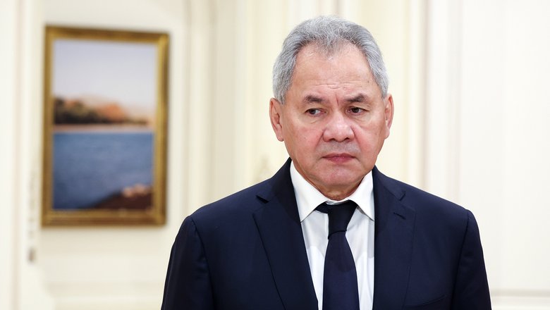 Шойгу назвал сценарий мира с Украиной