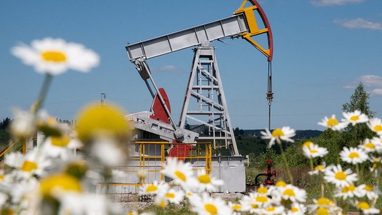 Власти Сьерра-Леоне призвали Россию инвестировать в нефтегазовую сферу страны