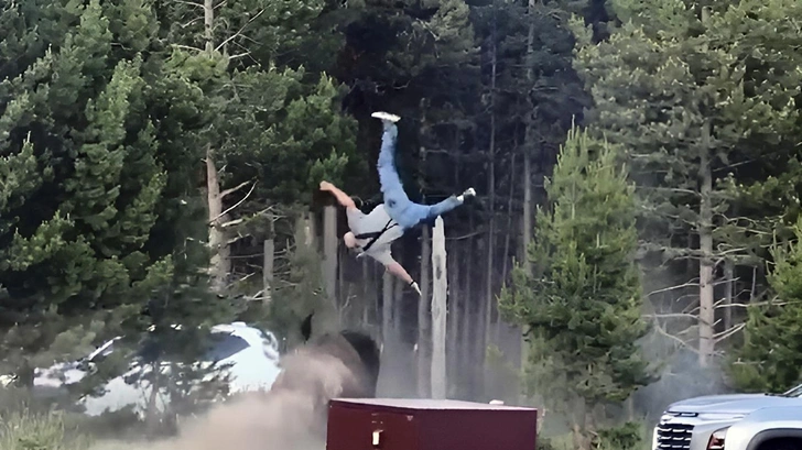 Бизон подбросил дедушку в воздух на глазах у внука в Йеллоустоне. Видео