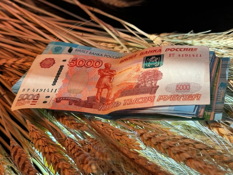 ВЦИОМ: Россияне считают, что богатство начинается с дохода в 393 тысячи рублей