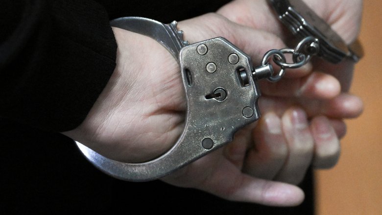 В Ленобласти задержаны подозреваемые в краже 150 млн руб у актрисы театра